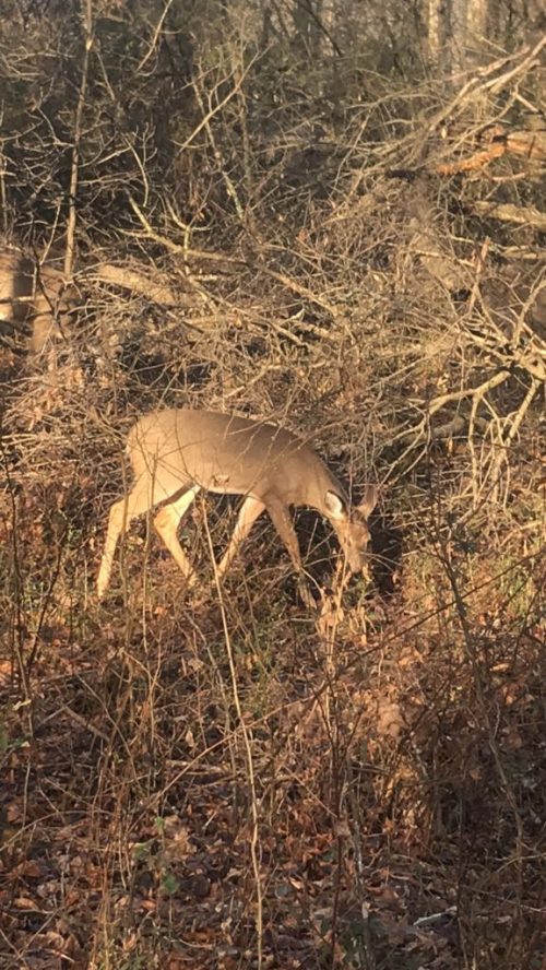 IMG_4874-1-e1535554405608-576x1024